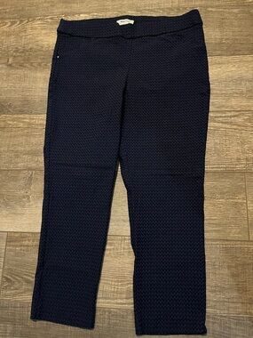 Briggs New York Navy Textured Pants